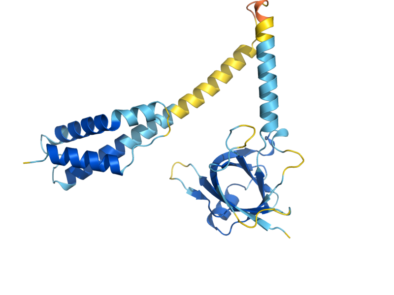AlphaFold predicted structure of SLD7