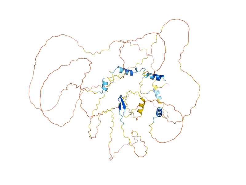AlphaFold predicted structure of MSA1