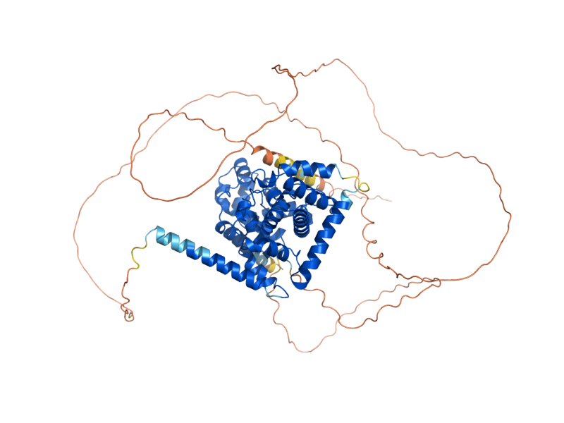 AlphaFold predicted structure of GYP1