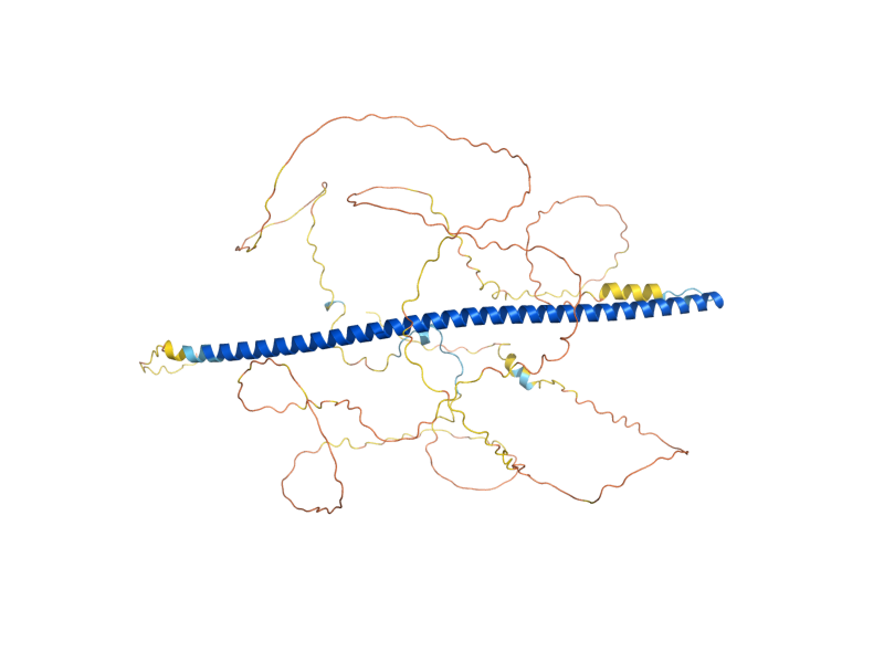 AlphaFold predicted structure of SGO1