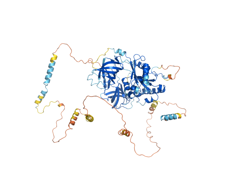 AlphaFold predicted structure of SKI7