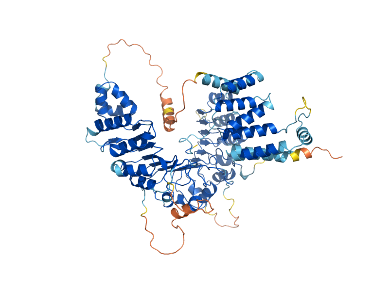 AlphaFold predicted structure of DIA2