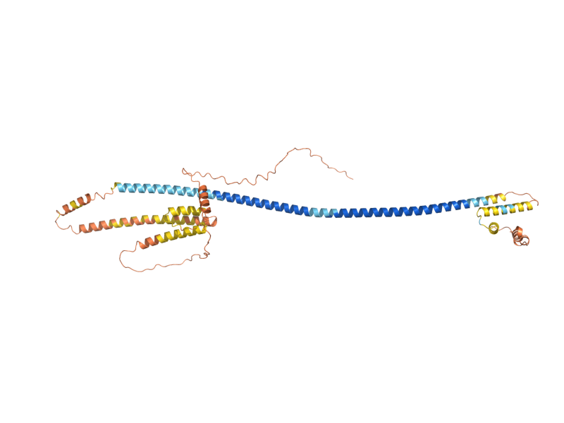 AlphaFold predicted structure of MPC54