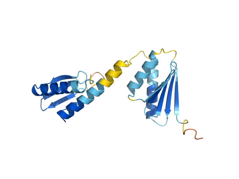 AlphaFold predicted structure of SYC1