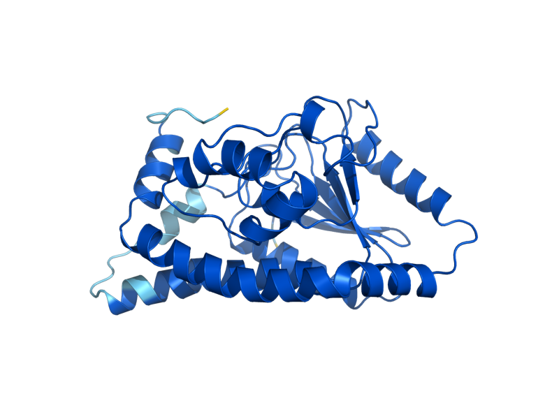 AlphaFold predicted structure of DCI1