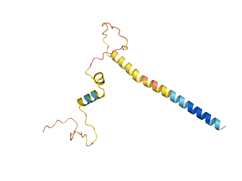 AlphaFold predicted structure of FYV12