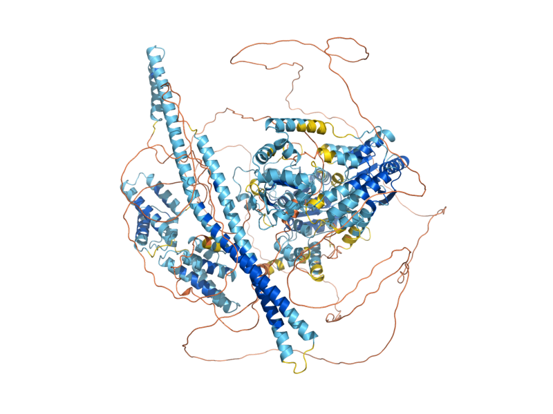 AlphaFold predicted structure of ULS1