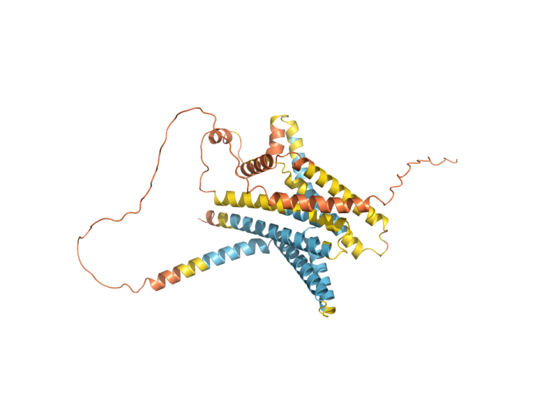 AlphaFold predicted structure of PEX27
