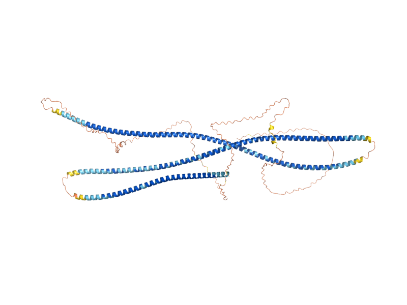 AlphaFold predicted structure of SLK19