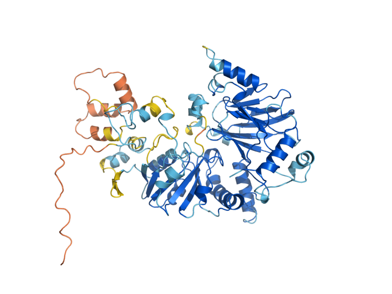 AlphaFold predicted structure of GEP3