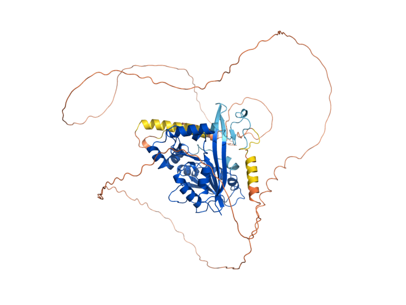 AlphaFold predicted structure of ABP140