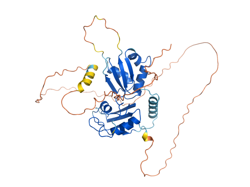 AlphaFold predicted structure of SSP2