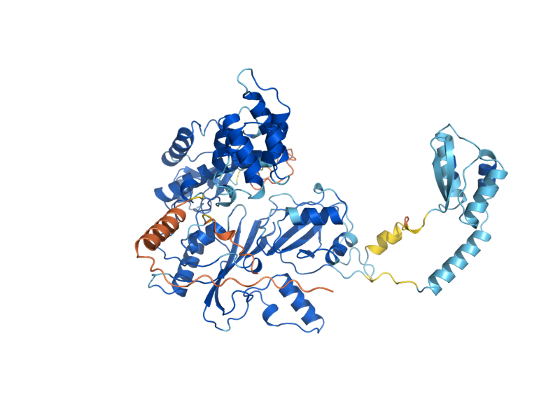 AlphaFold predicted structure of PUS7