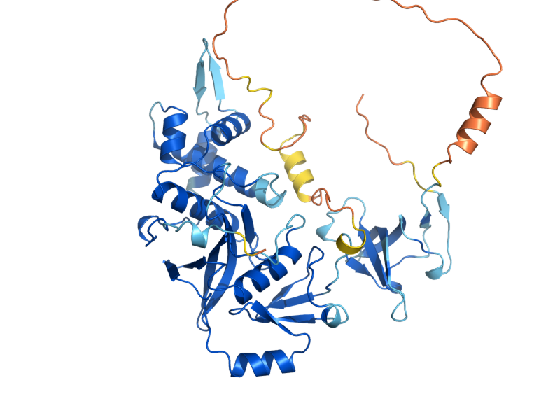 AlphaFold predicted structure of ESA1