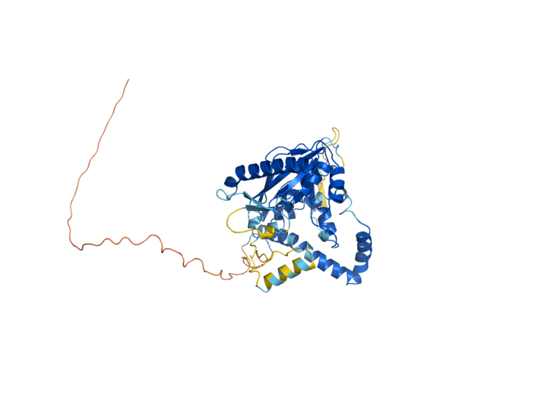AlphaFold predicted structure of DGA1