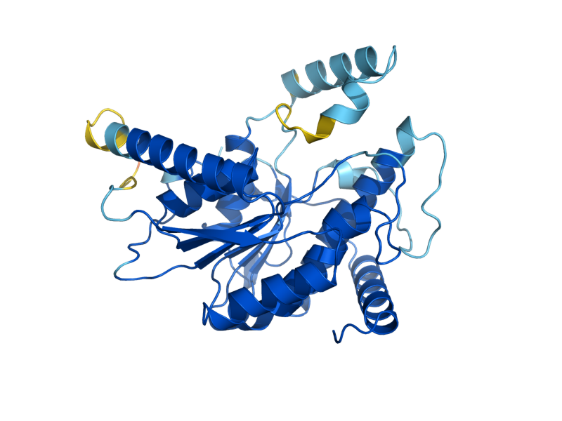 AlphaFold predicted structure of ENV9