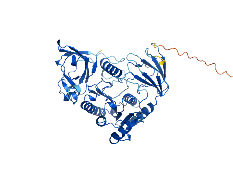 AlphaFold predicted structure of CLP1