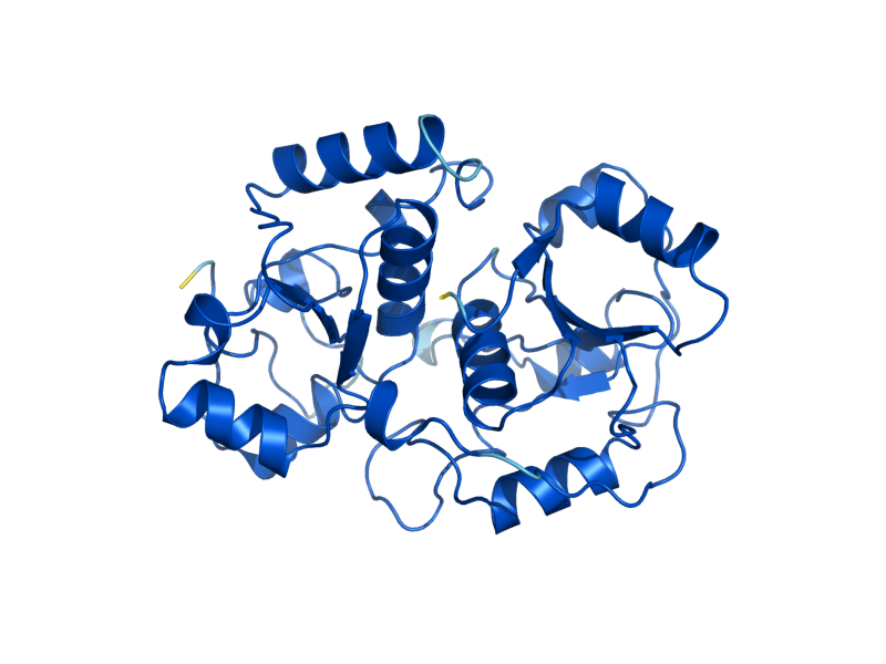 AlphaFold predicted structure of TUM1