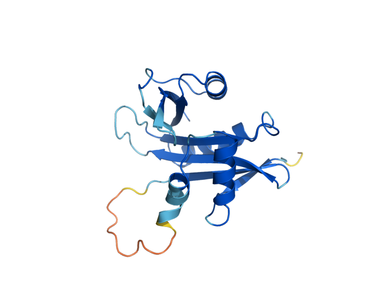 AlphaFold predicted structure of NAT5
