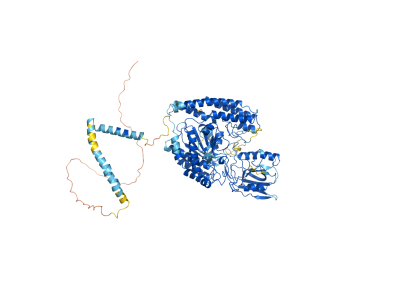 AlphaFold predicted structure of TRE2