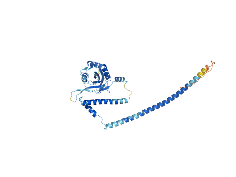 AlphaFold predicted structure of RPN8