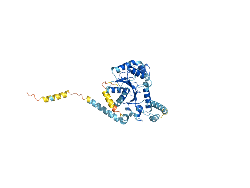 AlphaFold predicted structure of GPN2