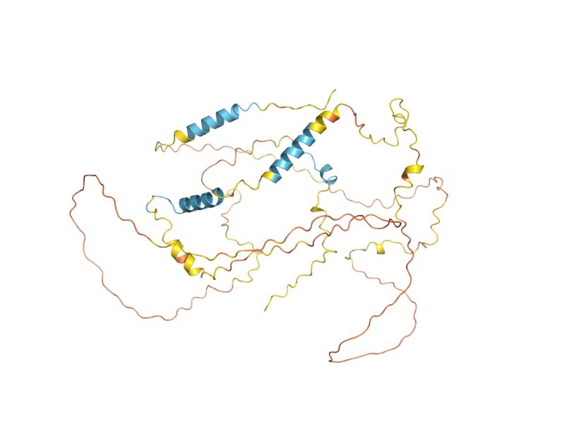 AlphaFold predicted structure of DSE3