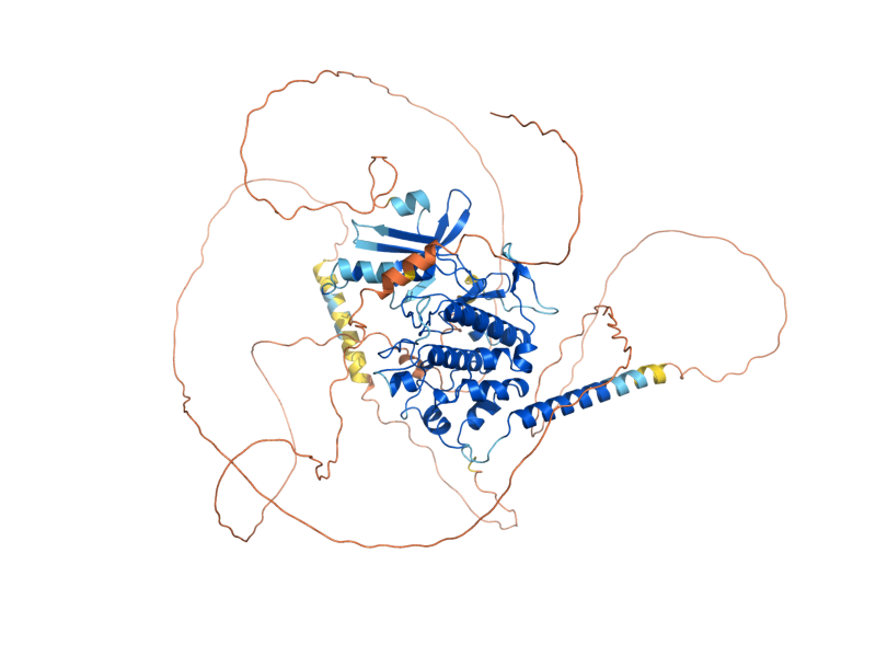 AlphaFold predicted structure of HRK1