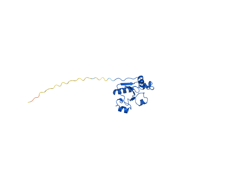 AlphaFold predicted structure of RDL2
