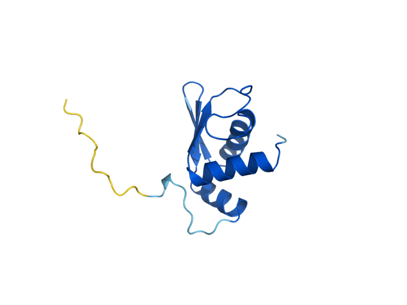 AlphaFold predicted structure of RPS10A