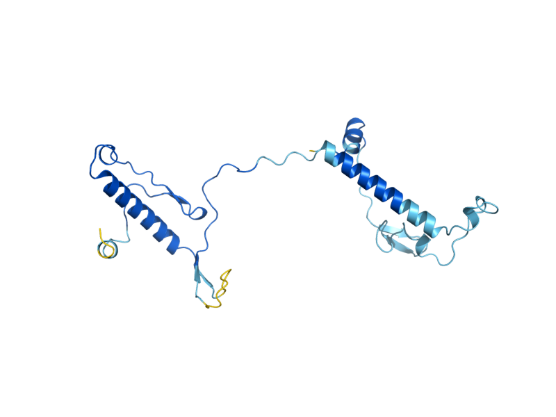 AlphaFold predicted structure of RRS1