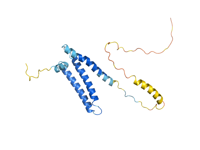 AlphaFold predicted structure of TIM18