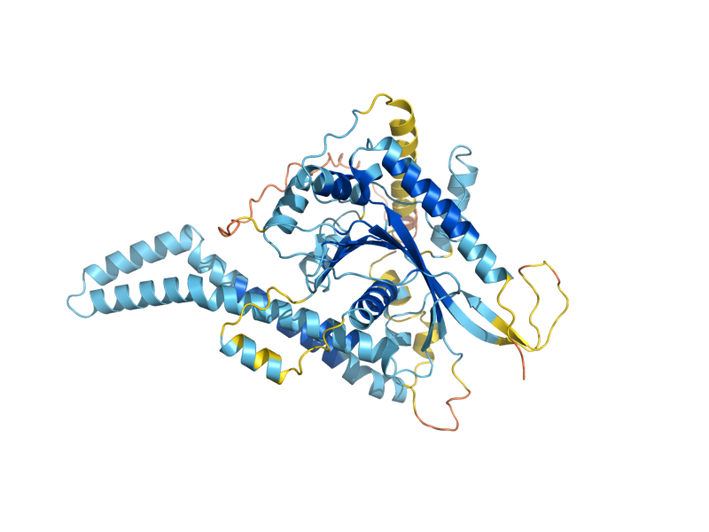 AlphaFold predicted structure of MUM3