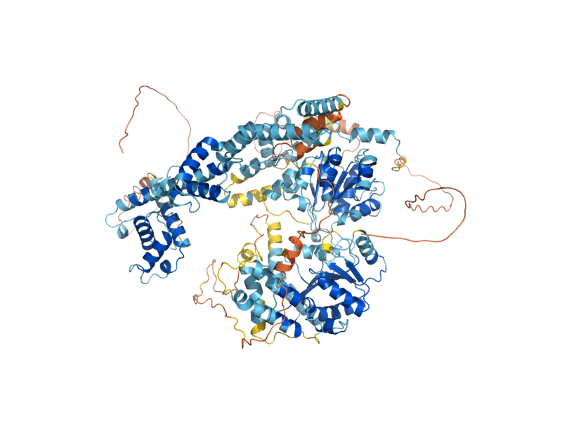 AlphaFold predicted structure of ISW2