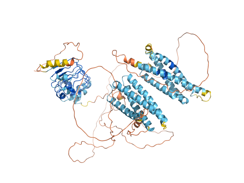AlphaFold predicted structure of SOG2