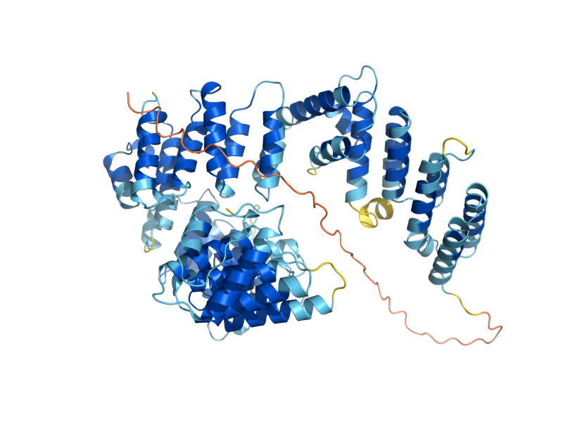 AlphaFold predicted structure of MSC6