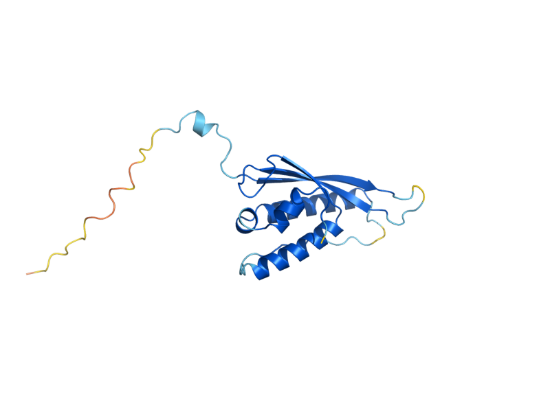 AlphaFold predicted structure of SNX3