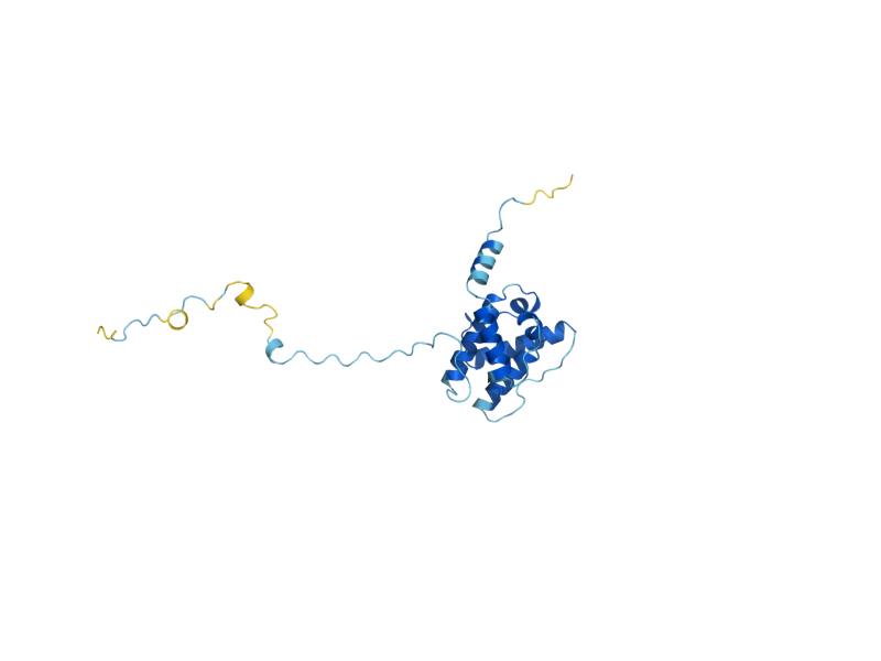 AlphaFold predicted structure of SCP1