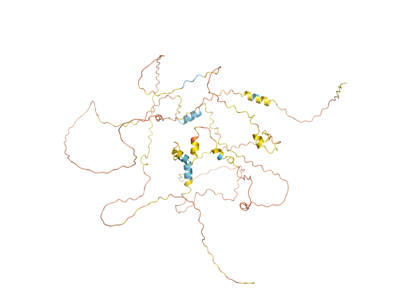 AlphaFold predicted structure of NDD1