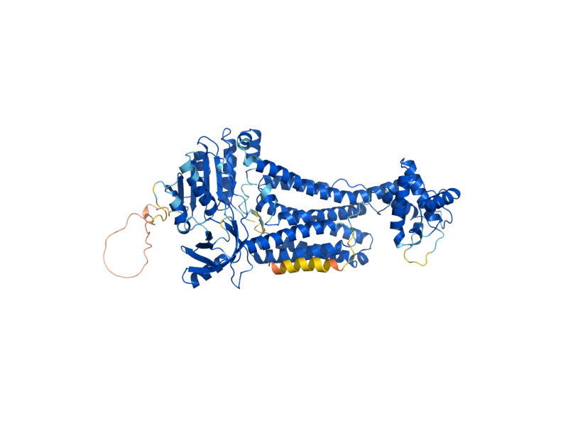 AlphaFold predicted structure of FRE3