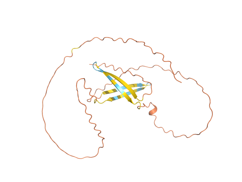 AlphaFold predicted structure of FIT3