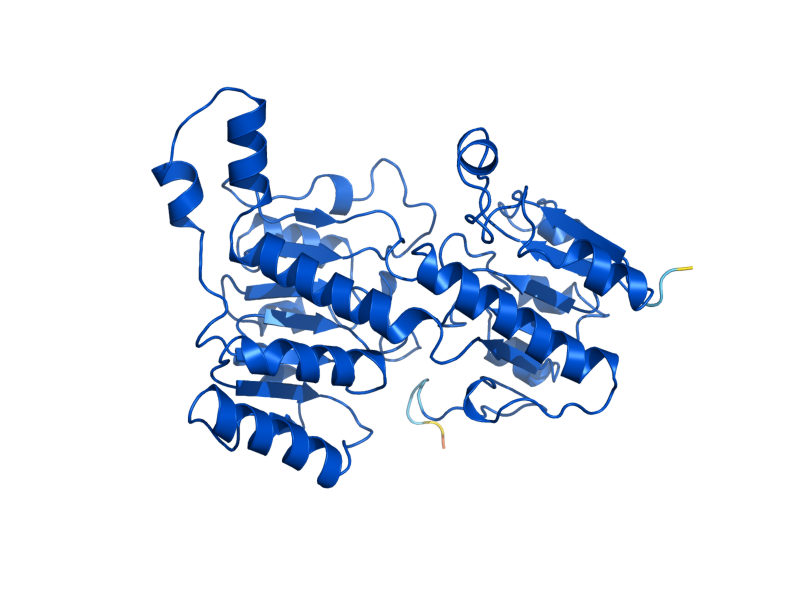 AlphaFold predicted structure of FDH1