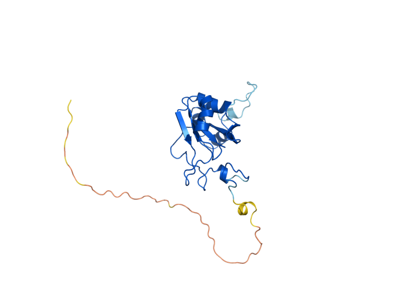 AlphaFold predicted structure of CBC2