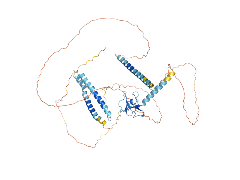 AlphaFold predicted structure of CTI6
