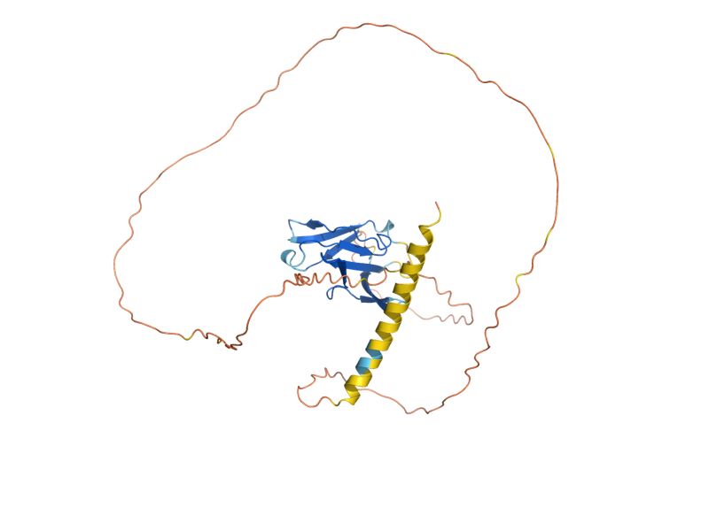 AlphaFold predicted structure of UIP4