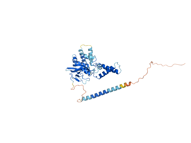 AlphaFold predicted structure of MIY2