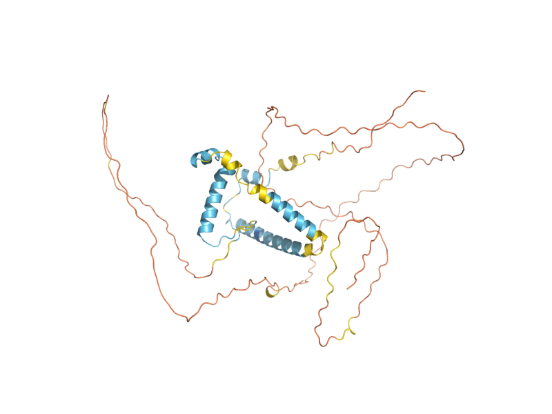 AlphaFold predicted structure of RSA1