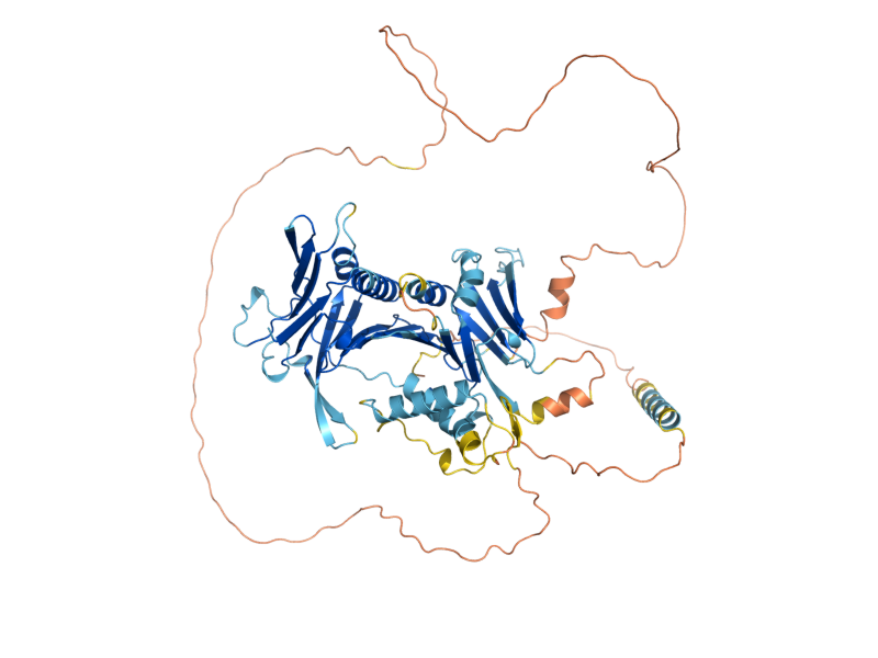 AlphaFold predicted structure of DDC1