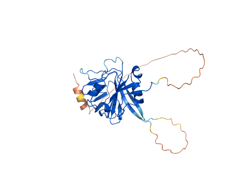 AlphaFold predicted structure of OXR1