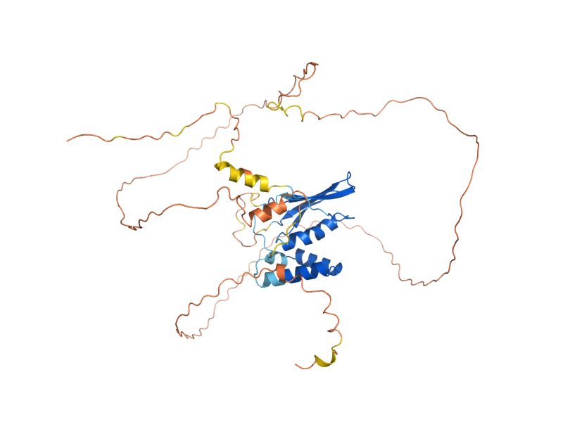 AlphaFold predicted structure of AFT2
